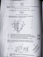 INT_SCIENCE_PRACTICALS,_THEORY_&_OBJ_SERIALIZED_BECE_2024.pdf